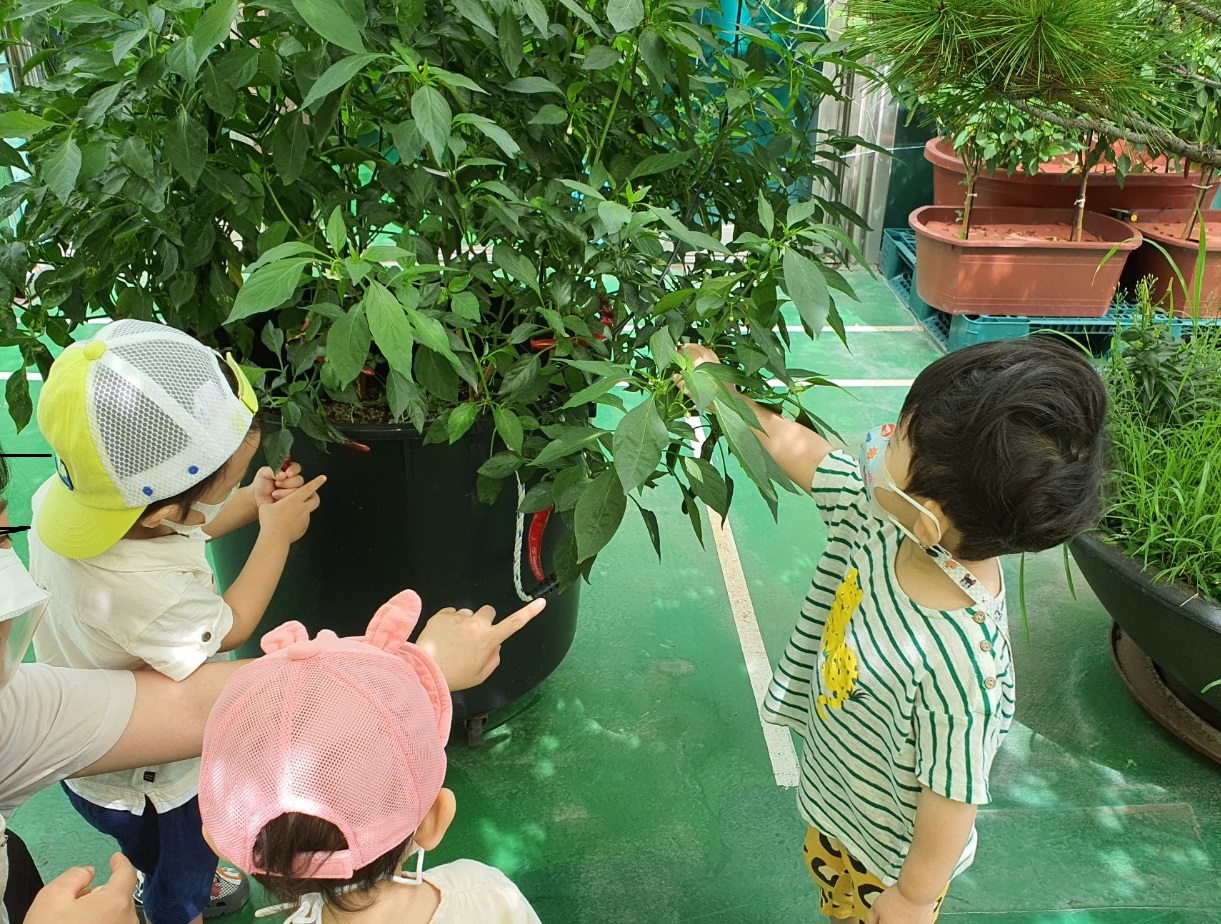 옥상자연체험2.jpg